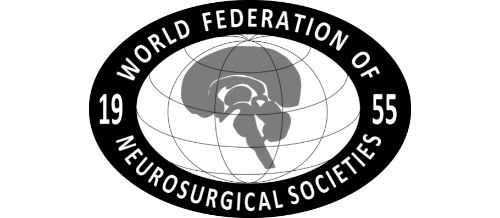World Federation of Neurosurgical Societies